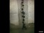 20160615_113956