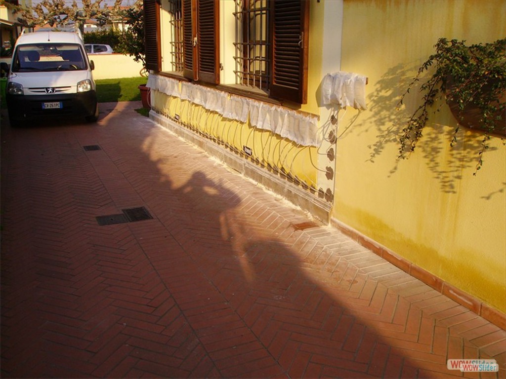 imgp0616